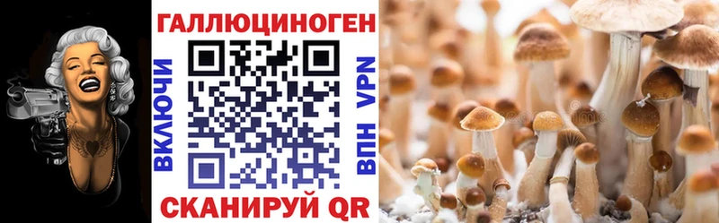Галлюциногенные грибы Magic Shrooms Советская Гавань