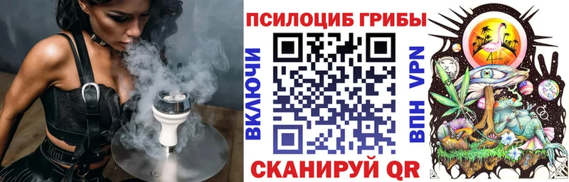 это Telegram  что такое   Советская Гавань  Галлюциногенные грибы Psilocybine cubensis 